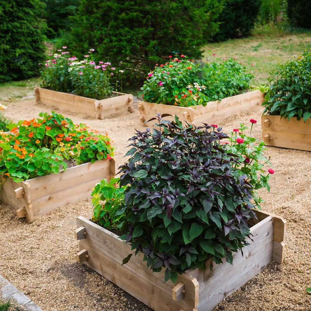 Two beds stacked