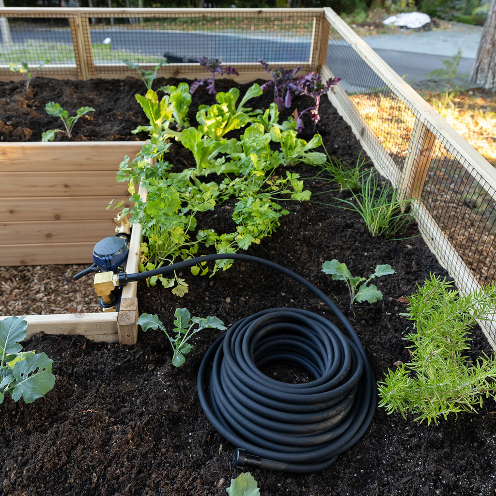 Cedar Complete Raised Garden Bed Kit - 8' x 16'