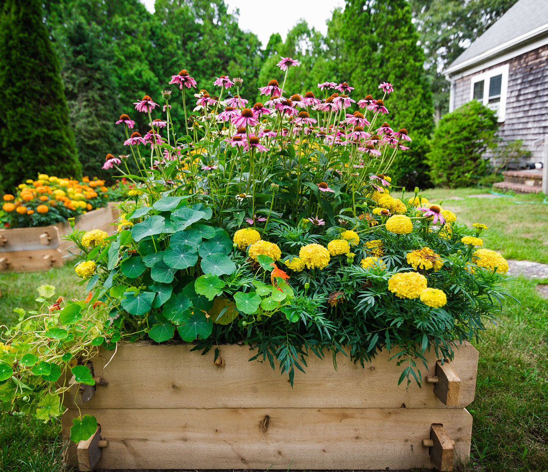 Two beds stacked