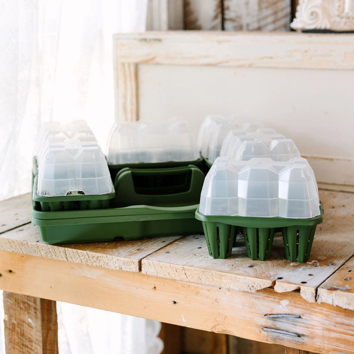 Ultimate Seed Starting Kit