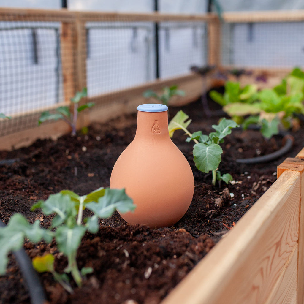 Oya Clay Watering Vessel