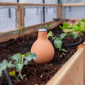 Oya Clay Watering Vessel