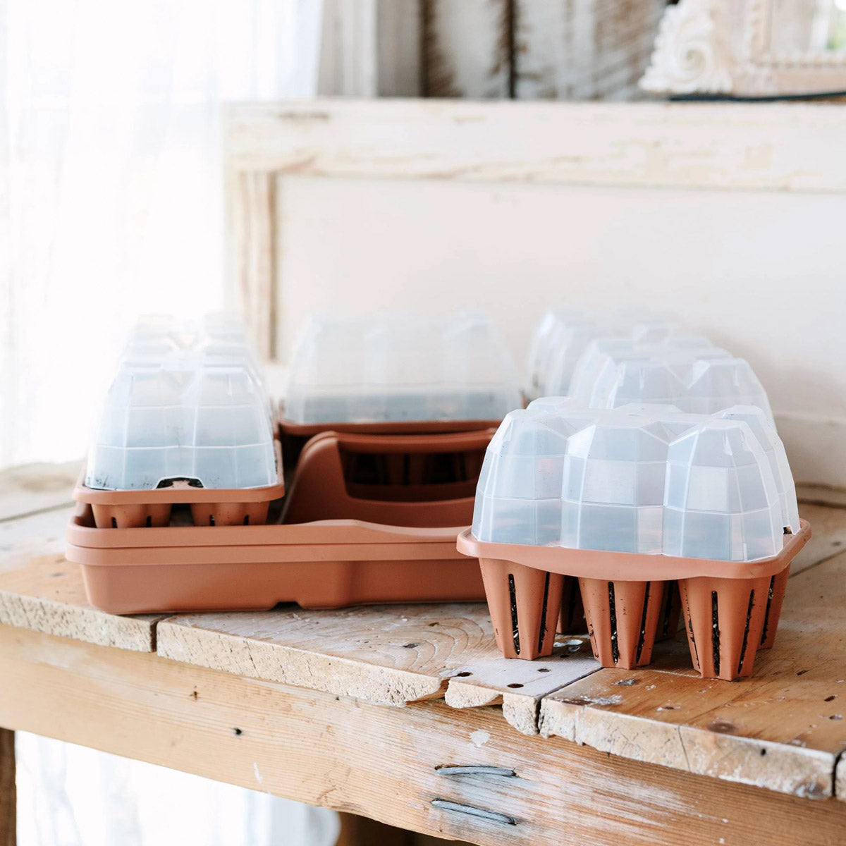 Ultimate Seed Starting Kit