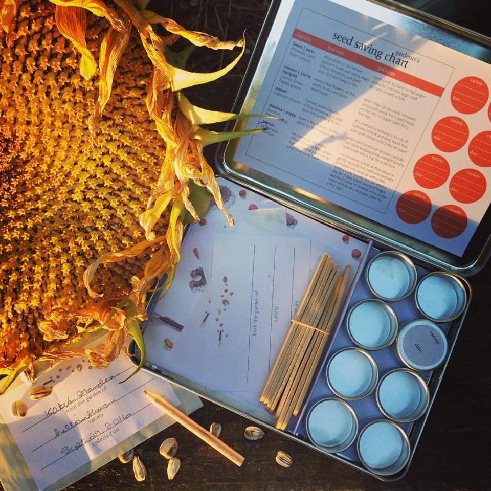 Gardener's Seed Saving Kit