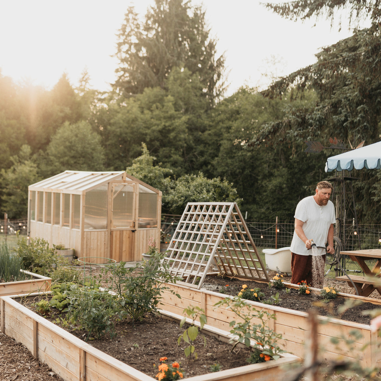 8' x 12' Cedar Greenhouse