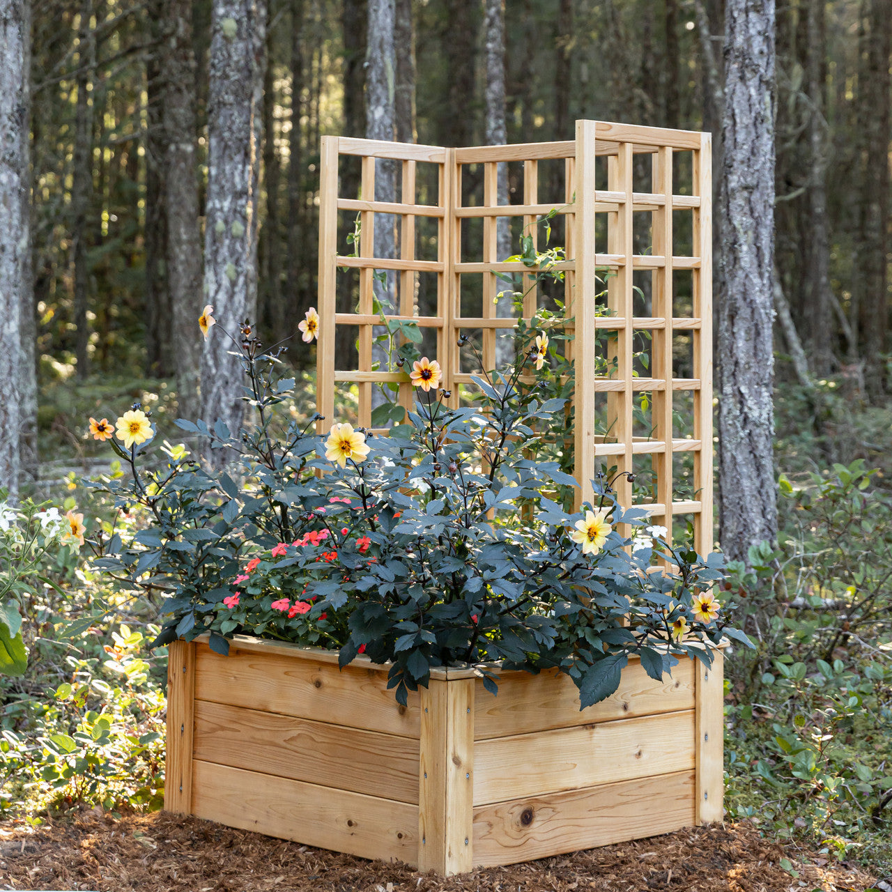 Natural Cedar Raised Beds with U-Shape Trellis