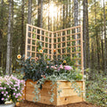 Natural Cedar Raised Beds with L-Shape Trellis