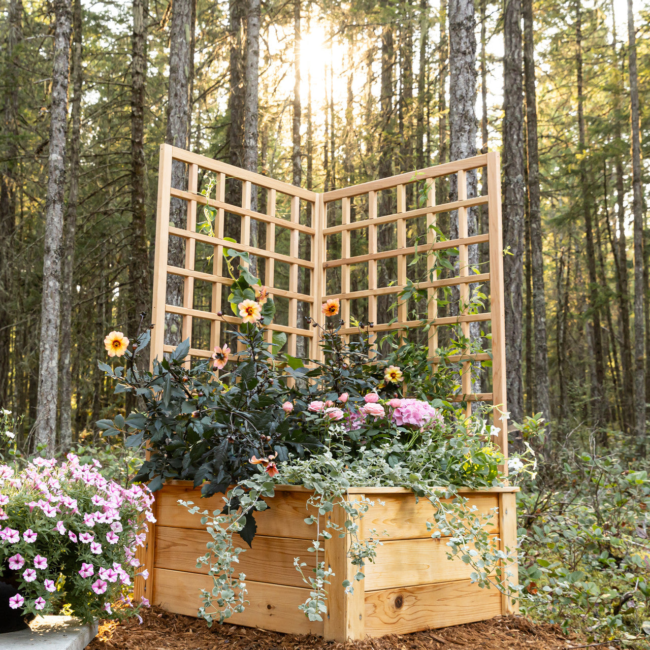 Natural Cedar Raised Beds with L-Shape Trellis
