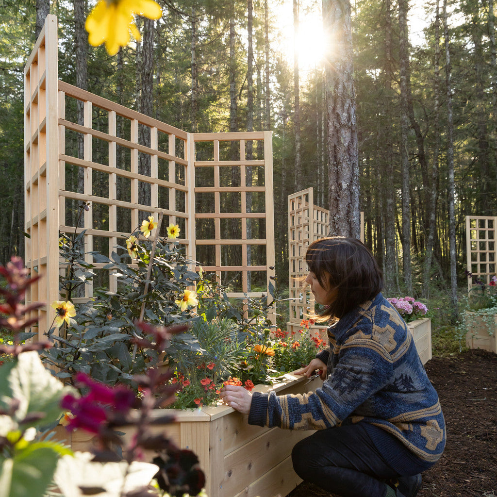 Natural Cedar Hexagon Raised Beds with Trellis
