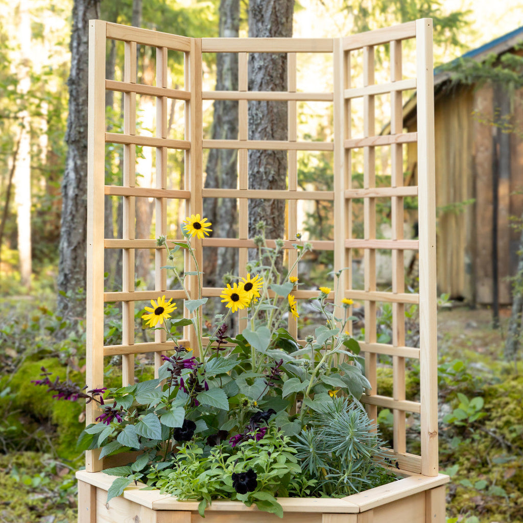Natural Cedar Hexagon Raised Beds with Trellis