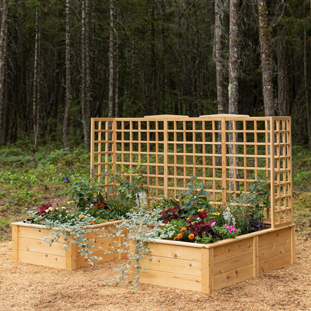 Natural Cedar 7.5' U-Shaped Raised Bed with Trellis