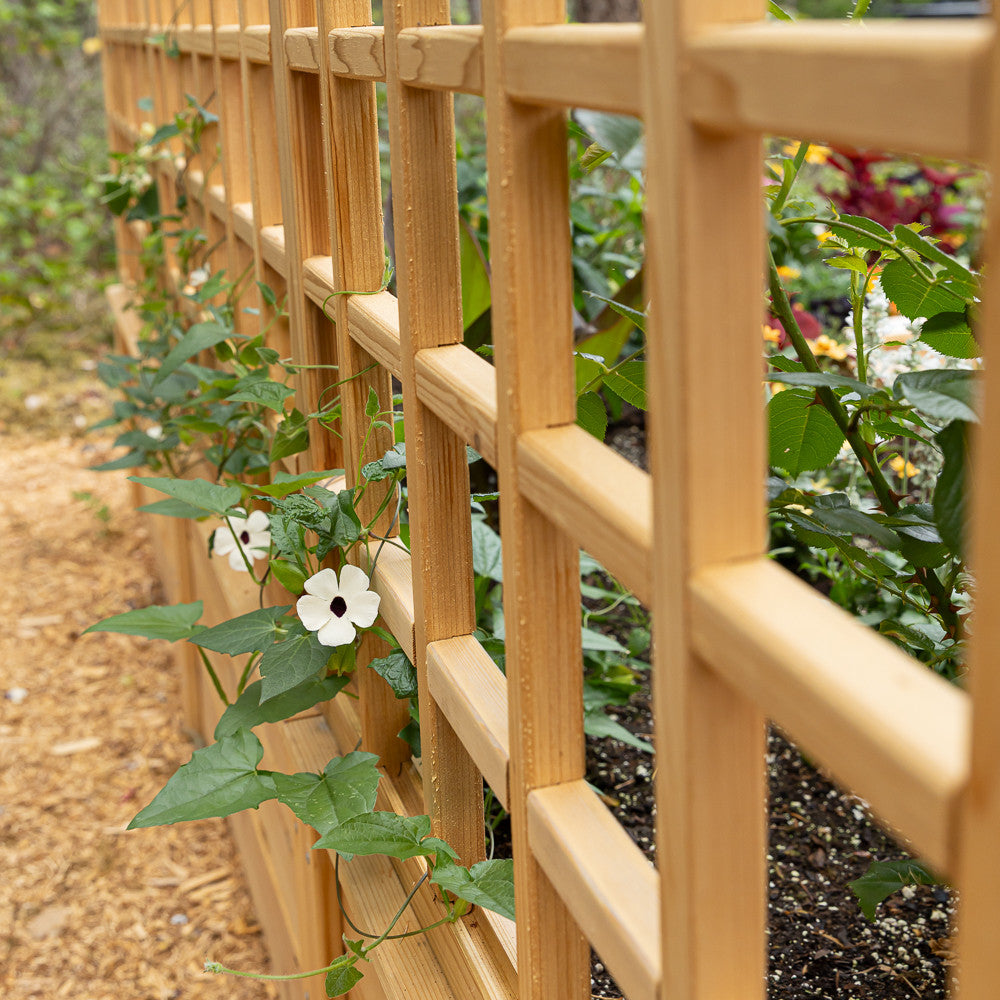 Natural Cedar 7.5' U-Shaped Raised Bed with Trellis