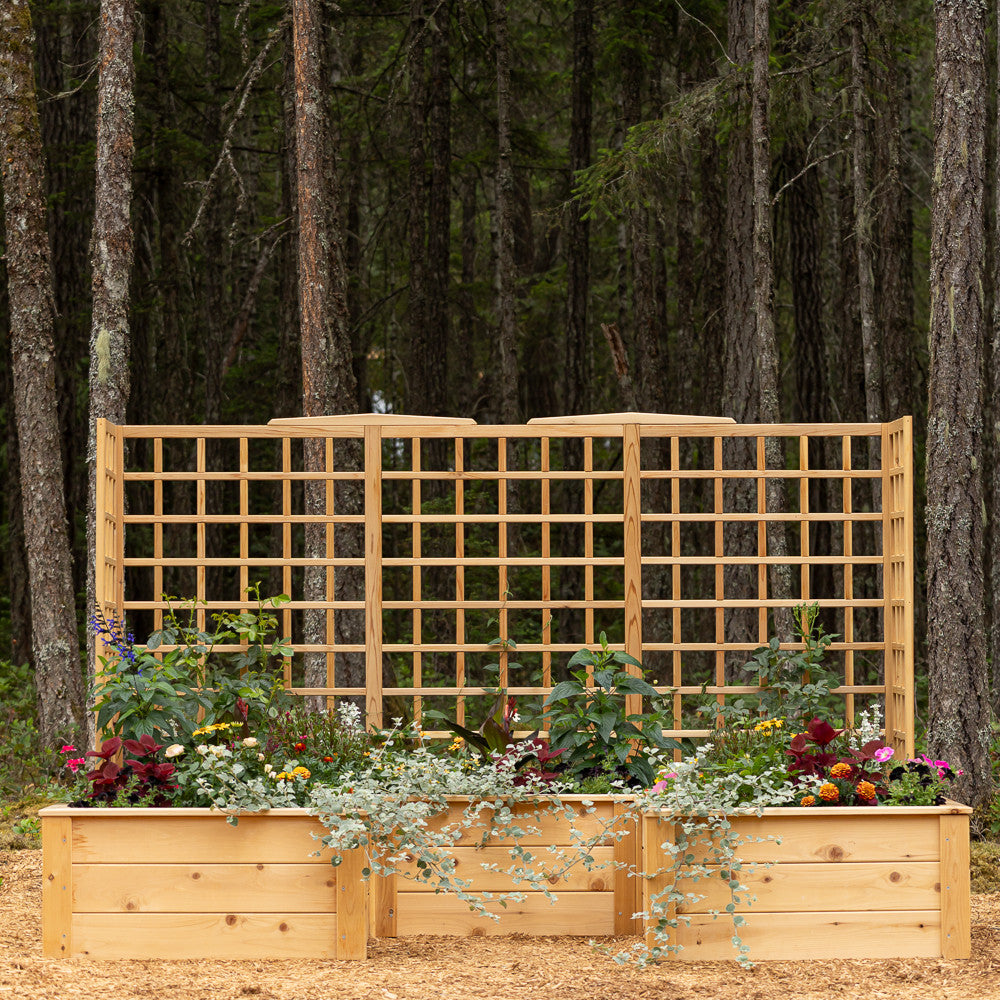 Natural Cedar 7.5' U-Shaped Raised Bed with Trellis