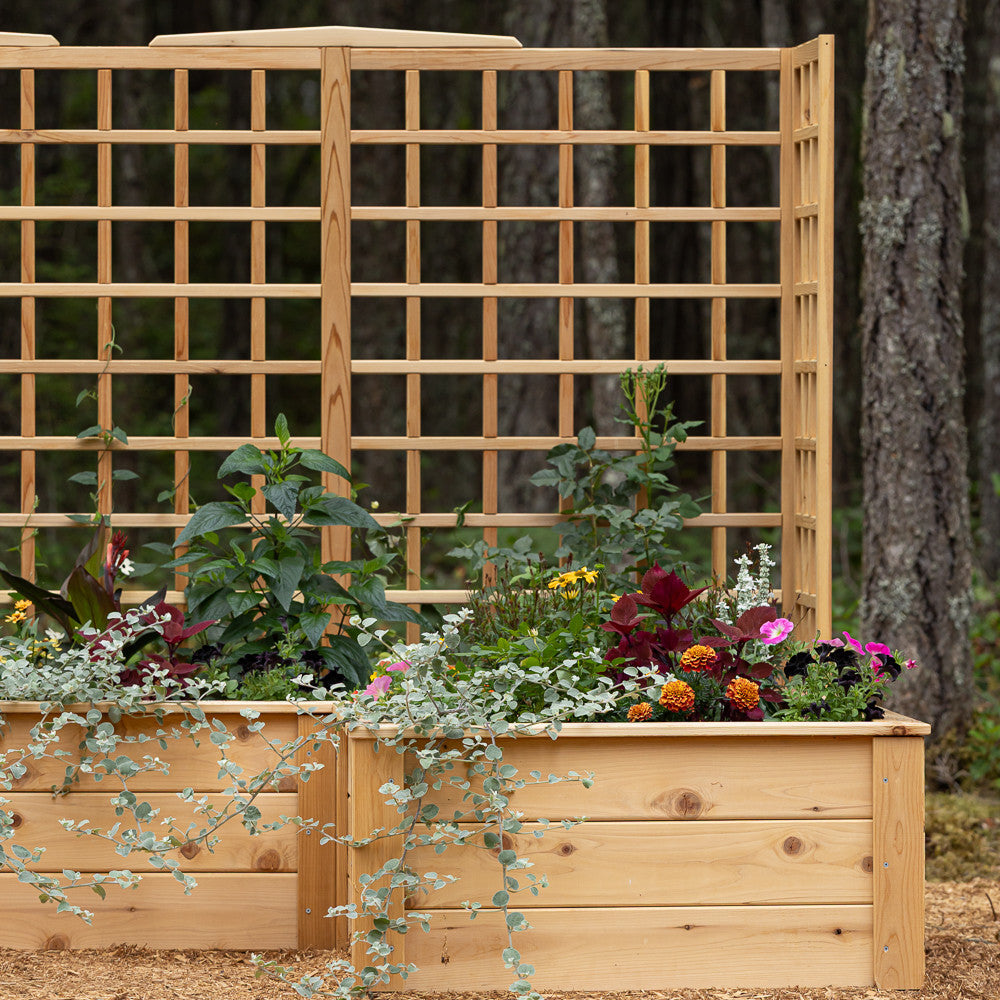 Natural Cedar 7.5' U-Shaped Raised Bed with Trellis