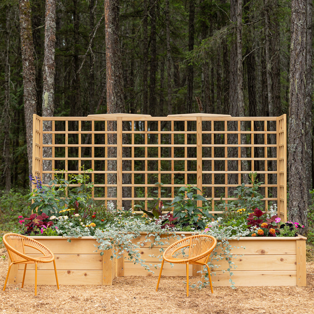 Natural Cedar 7.5' U-Shaped Raised Bed with Trellis