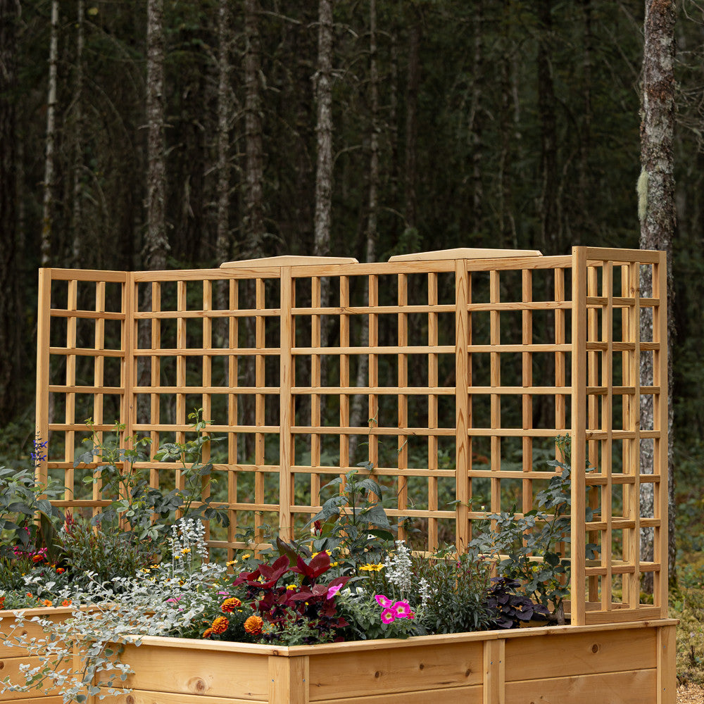 Natural Cedar 7.5' U-Shaped Raised Bed with Trellis