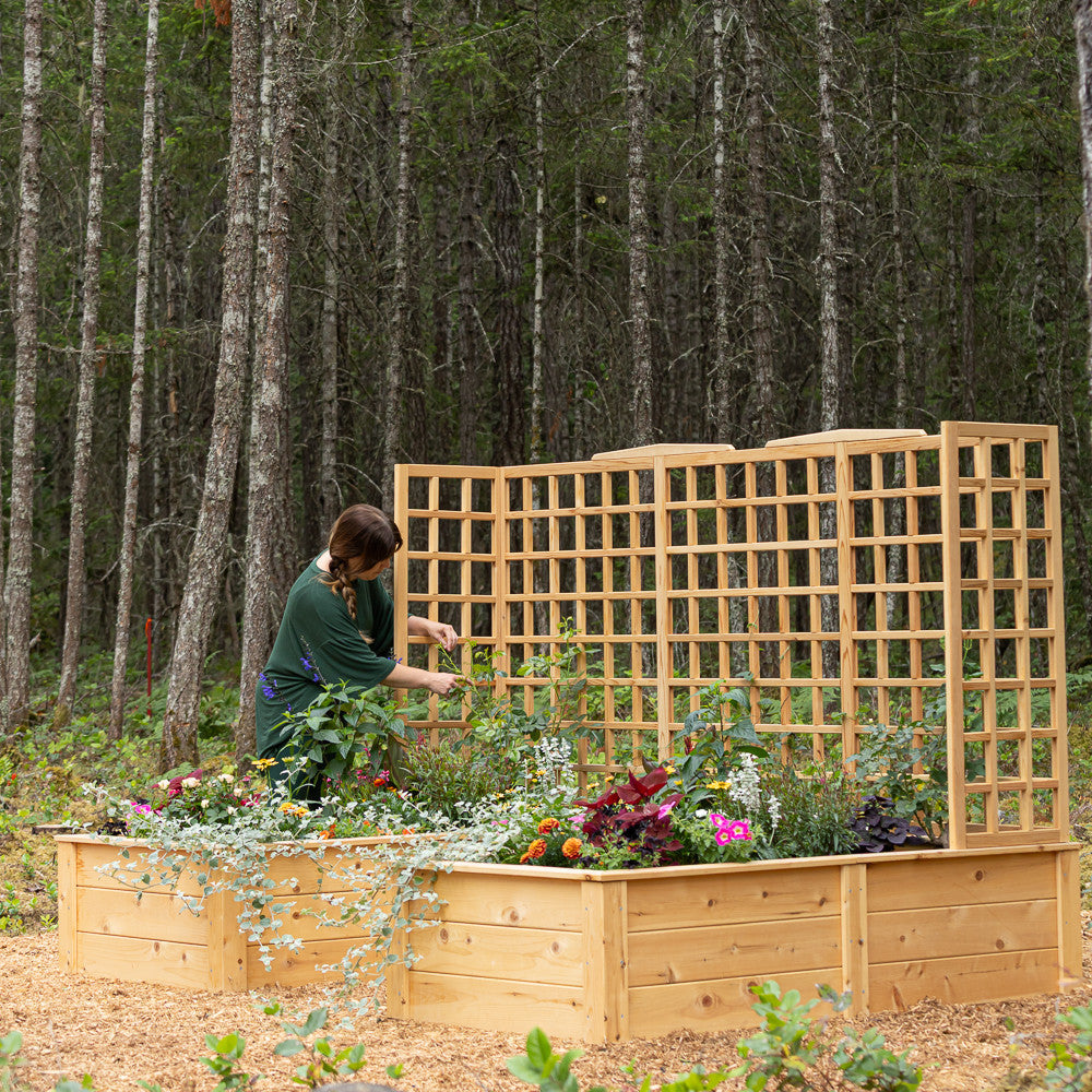 Natural Cedar 7.5' U-Shaped Raised Bed with Trellis