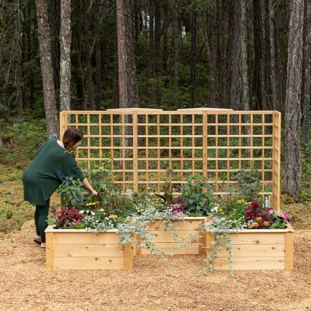 Natural Cedar 7.5' U-Shaped Raised Bed with Trellis