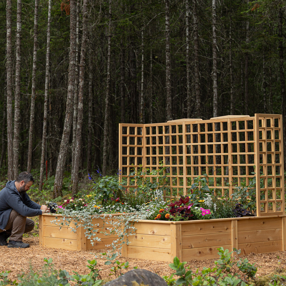 Natural Cedar 7.5' U-Shaped Raised Bed with Trellis
