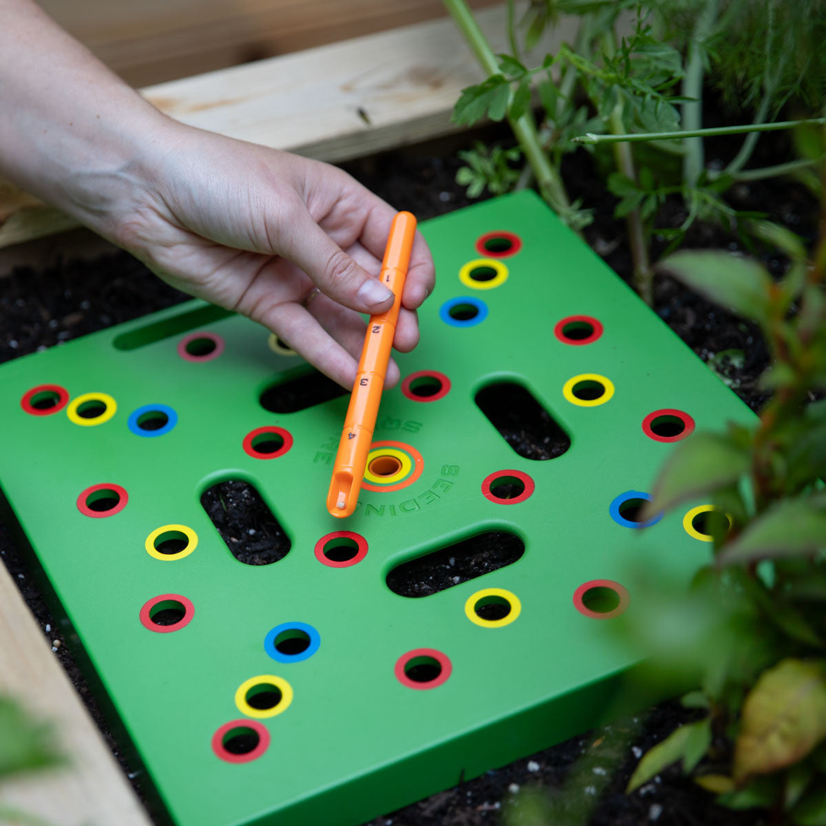 Seeding Square