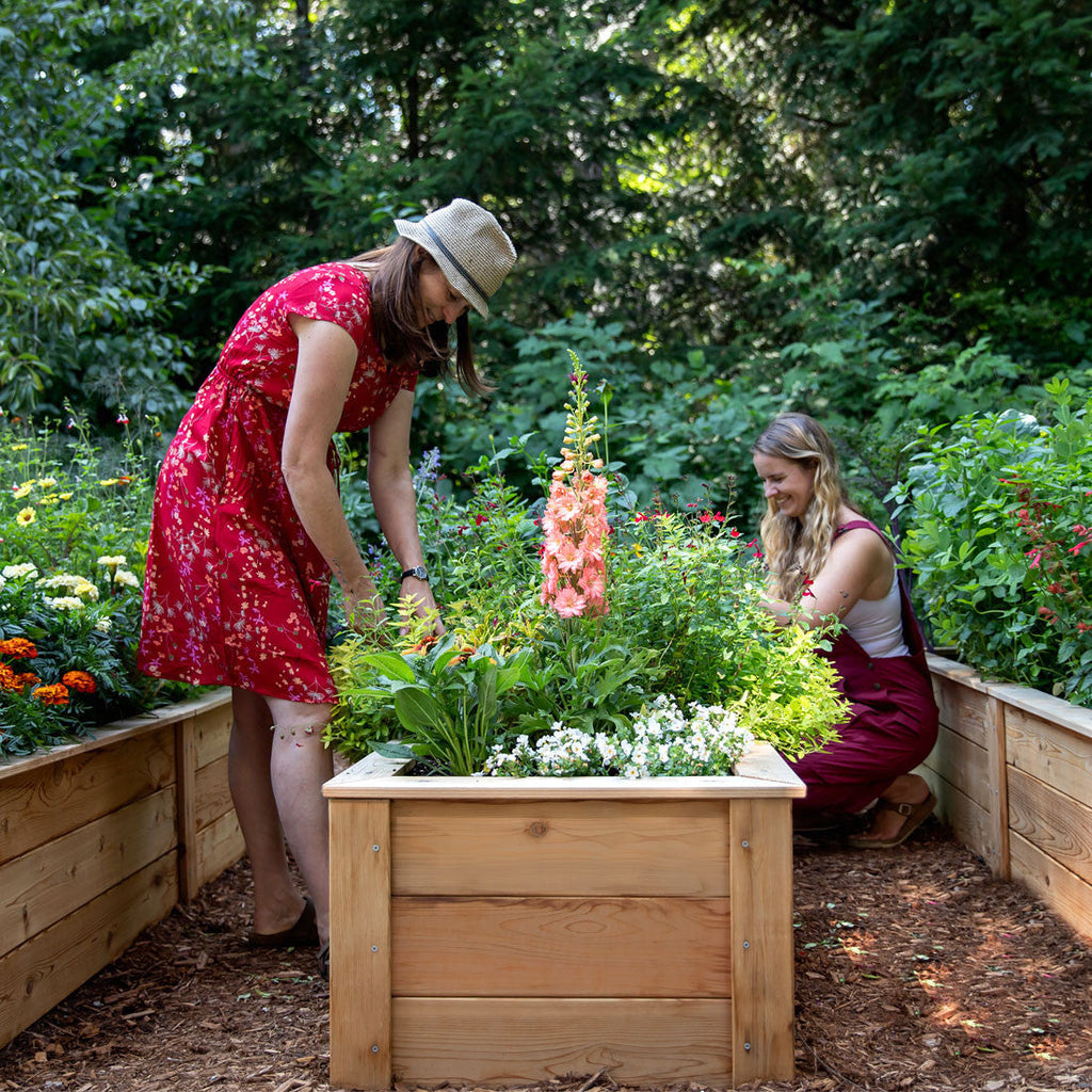 Natural Cedar Raised Garden Beds