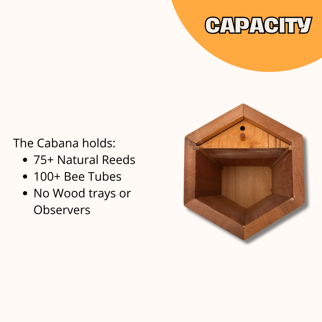 Cedar Cabana Complete Kit Bee House & Bee Certificate