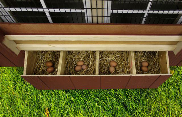 EZ-fit Chicken Coops