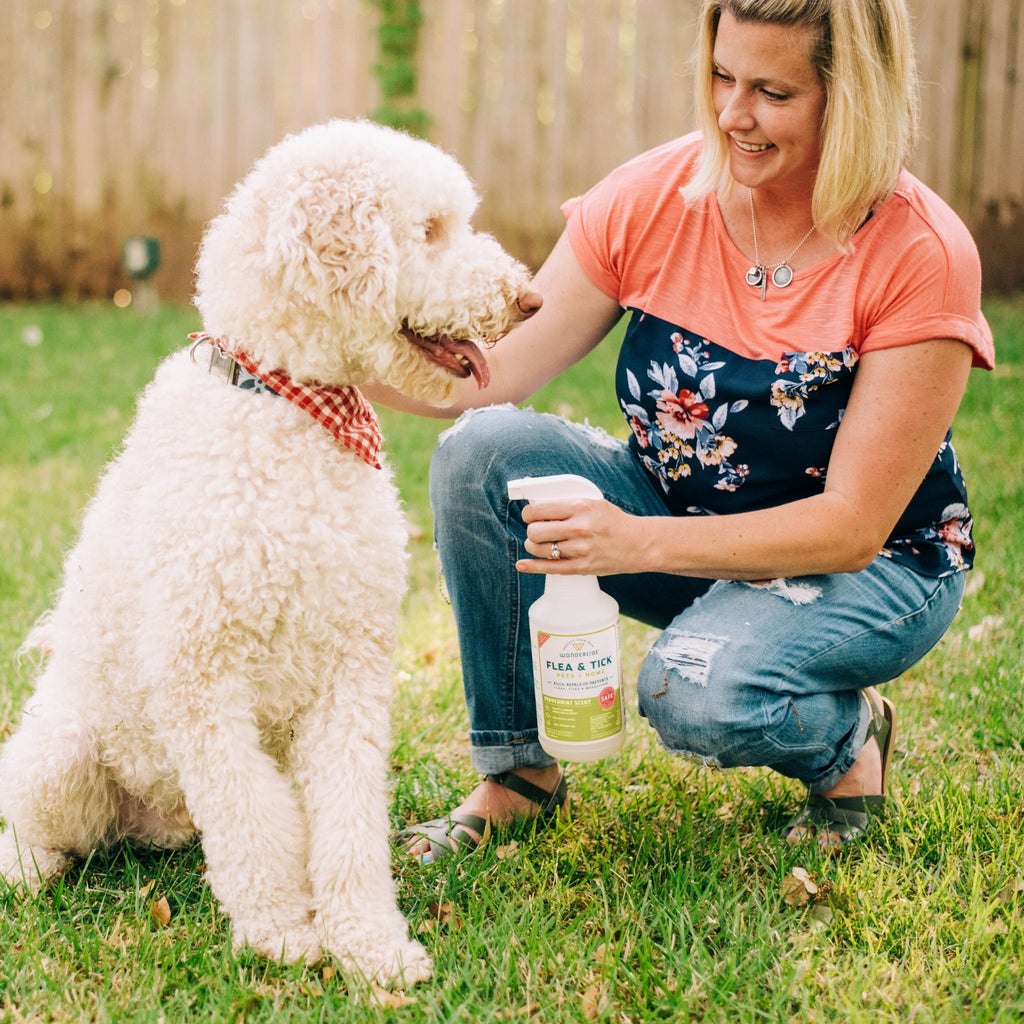 Home and Pet Flea & Tick Spray