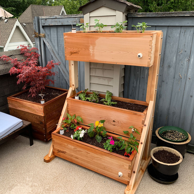 Canopy Self-Watering Vertical Cedar Planter