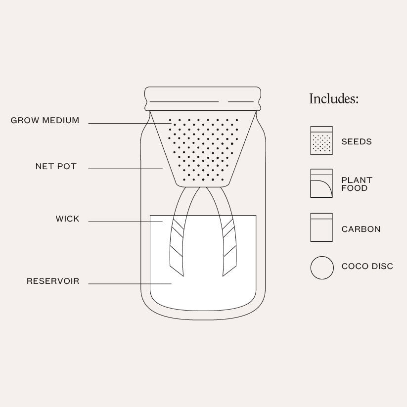 Basil Garden Jar