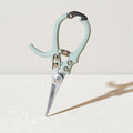 Pruning Shears
