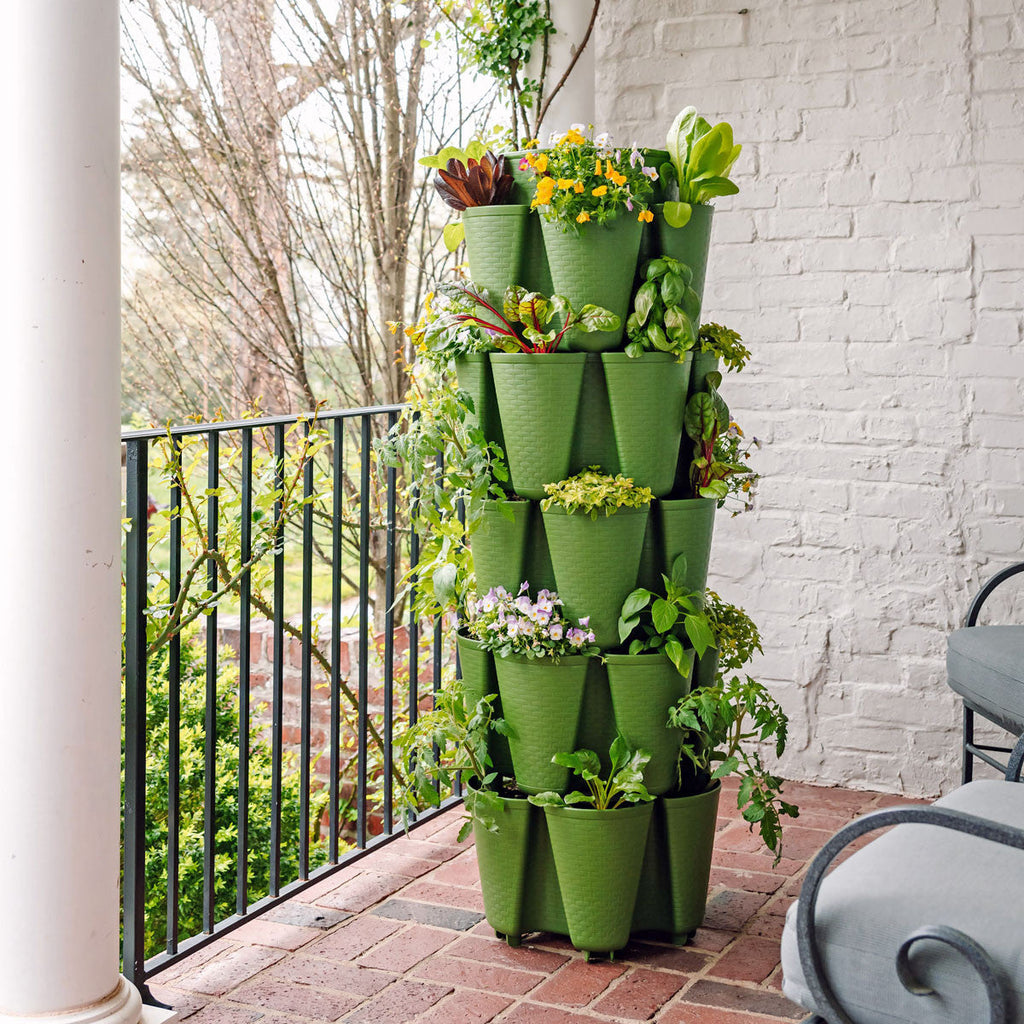 5-Tier Evergreen