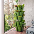 5-Tier Evergreen