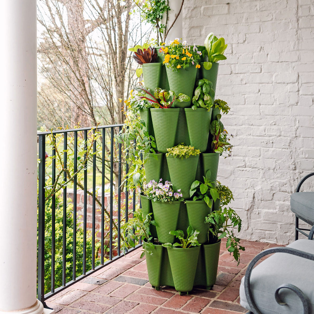 5-Tier Evergreen