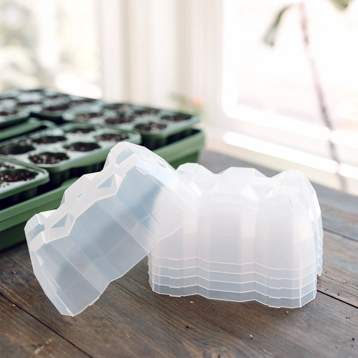 Ultimate Seed Starting Kit