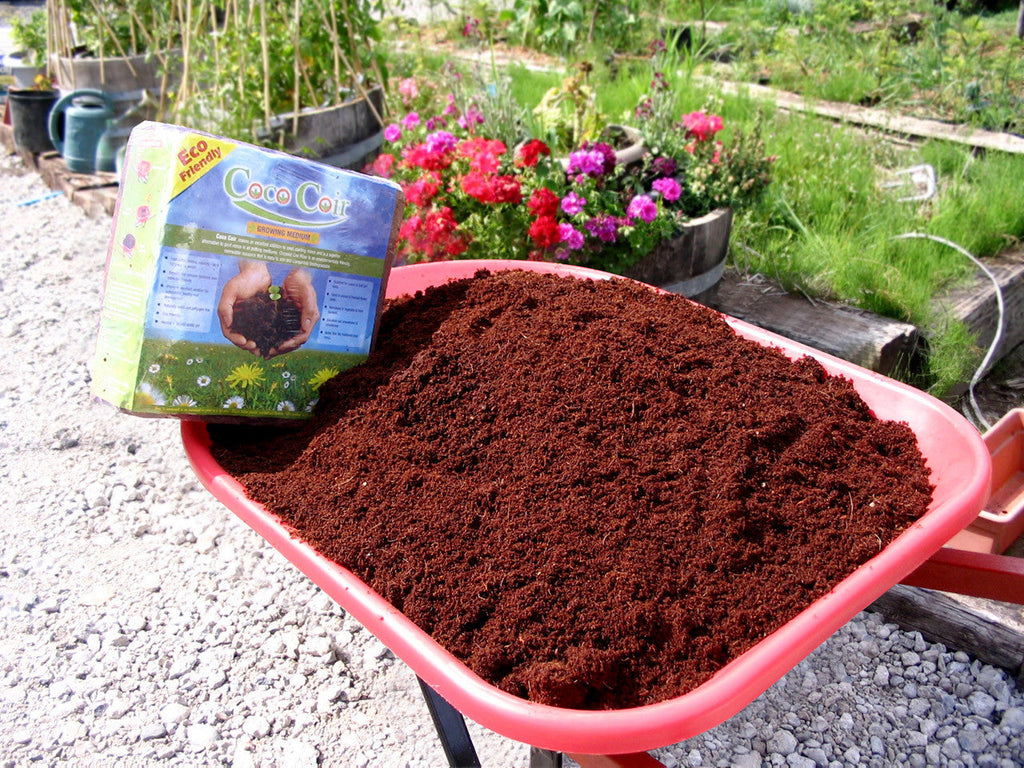 Coconut Coir