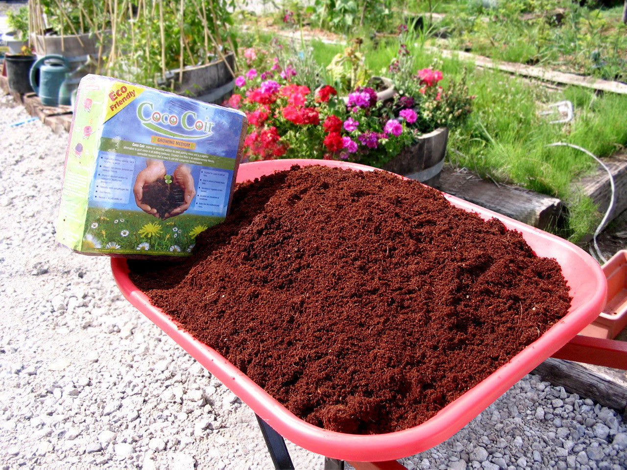 Coconut Coir