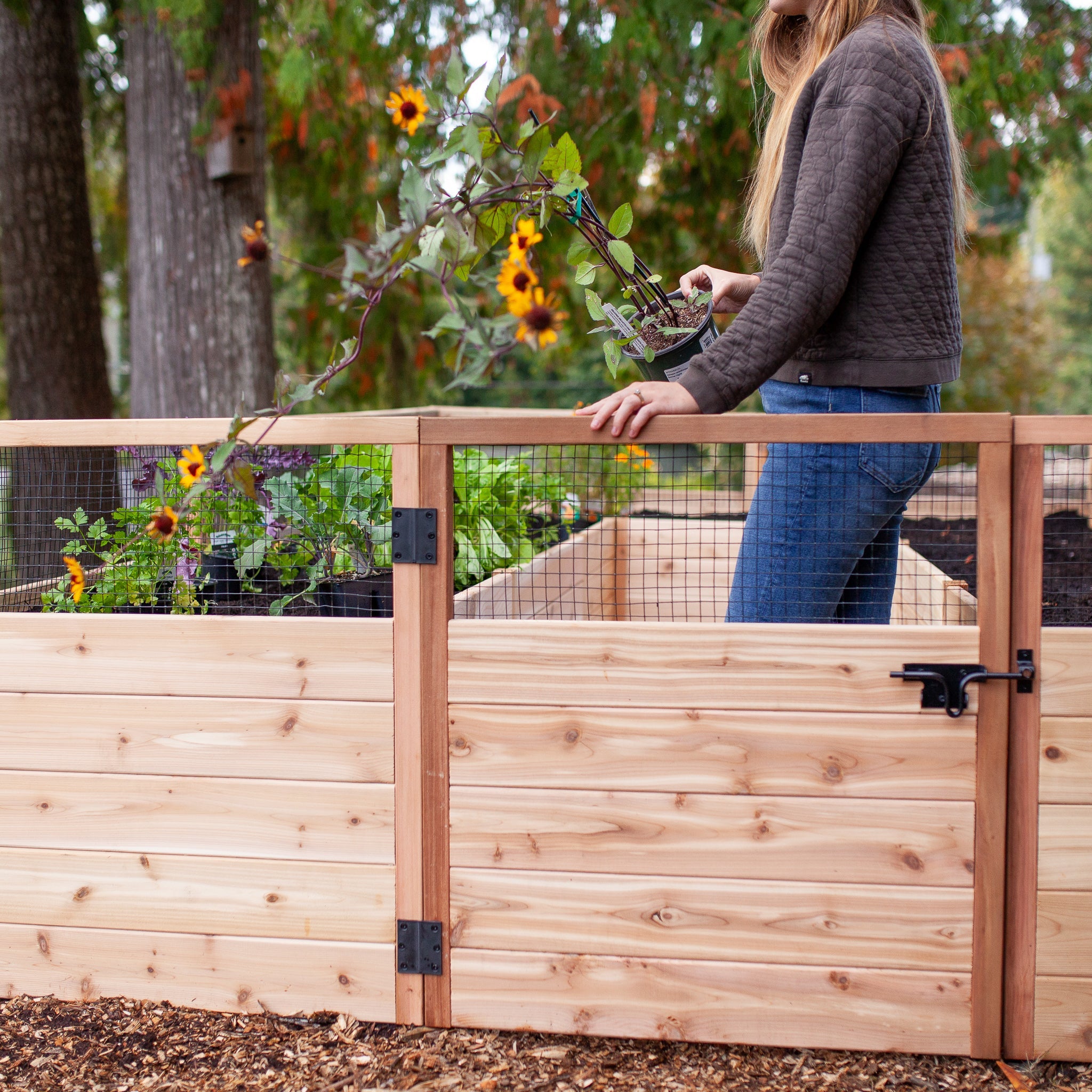Cedar Complete Raised Garden Bed Kit - 8' x 12'