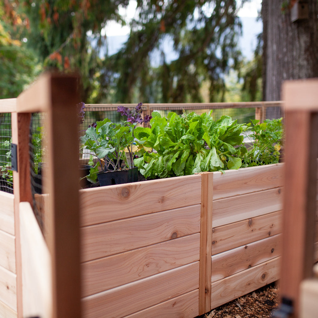 Cedar Complete Raised Garden Bed Kit - 8' x 12'