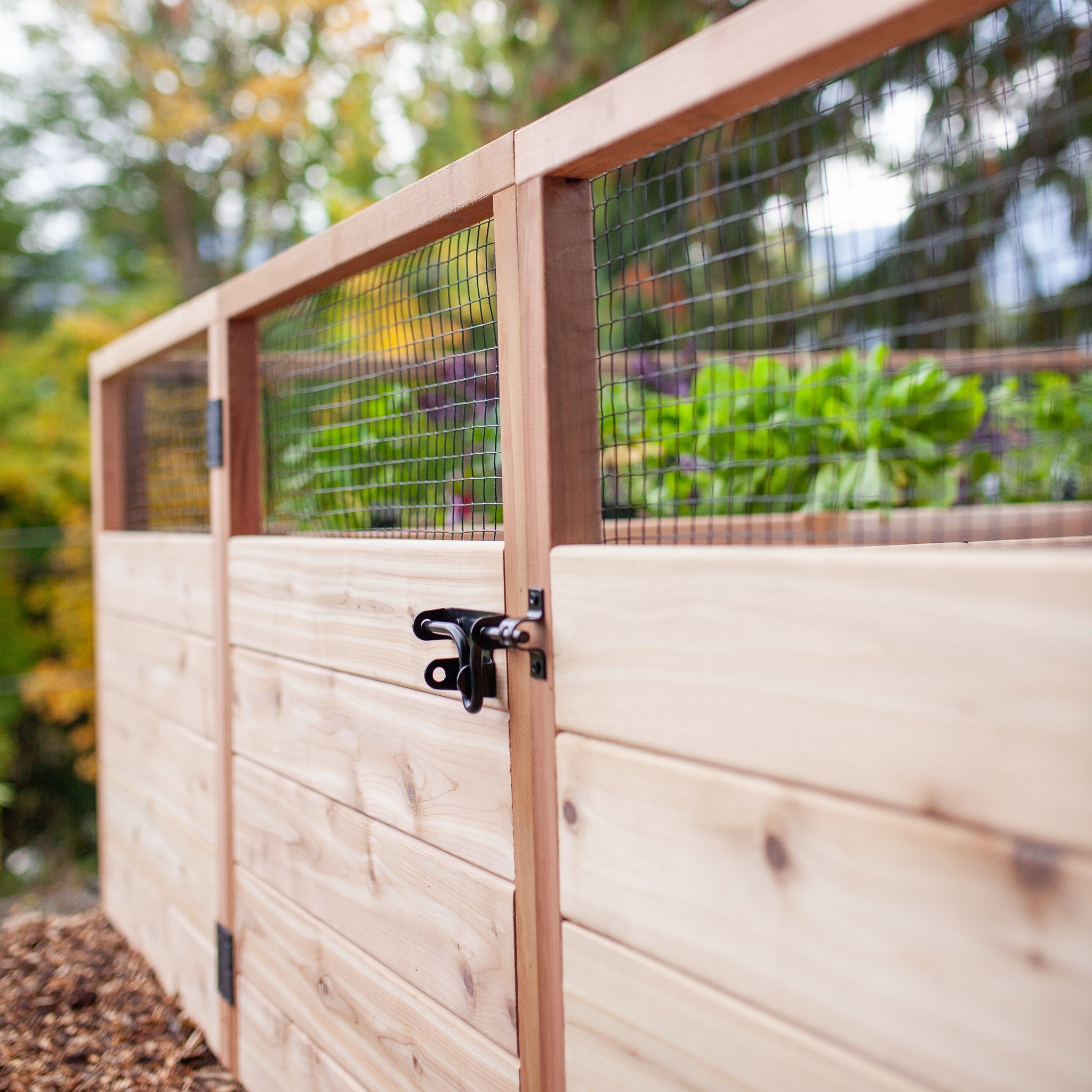 Cedar Complete Raised Garden Bed Kit - 8' x 12'