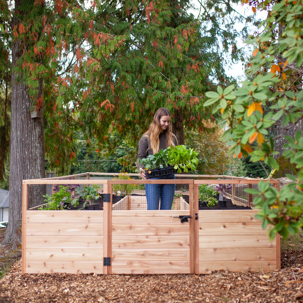 Cedar Complete Raised Garden Bed Kit - 8' x 12'