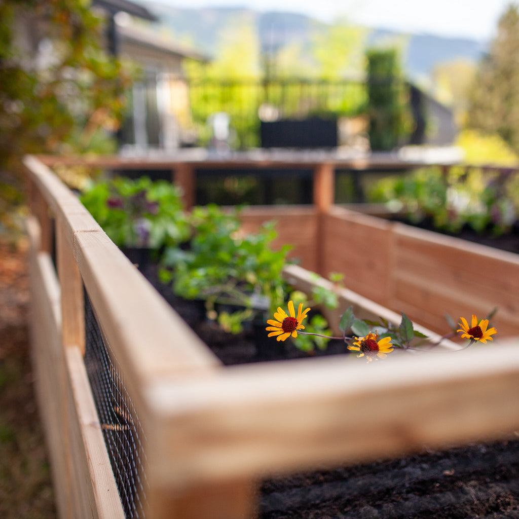 Cedar Complete Raised Garden Bed Kit - 8' x 12'