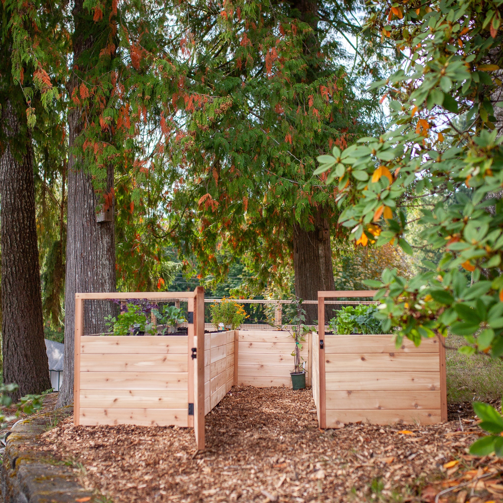 Cedar Complete Raised Garden Bed Kit - 8' x 12'