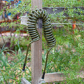Premium Drinking Water Safe Coil Hose