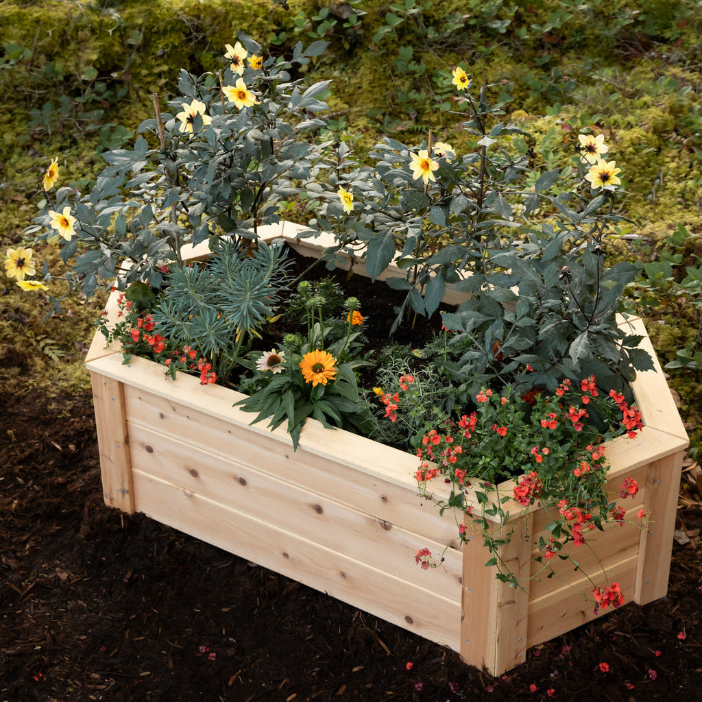 Natural Cedar Hexagon Raised Beds