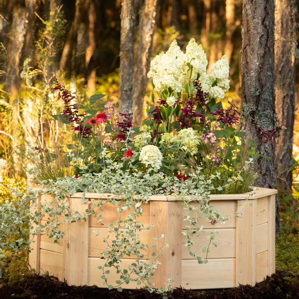 Natural Cedar Octagon Raised Beds