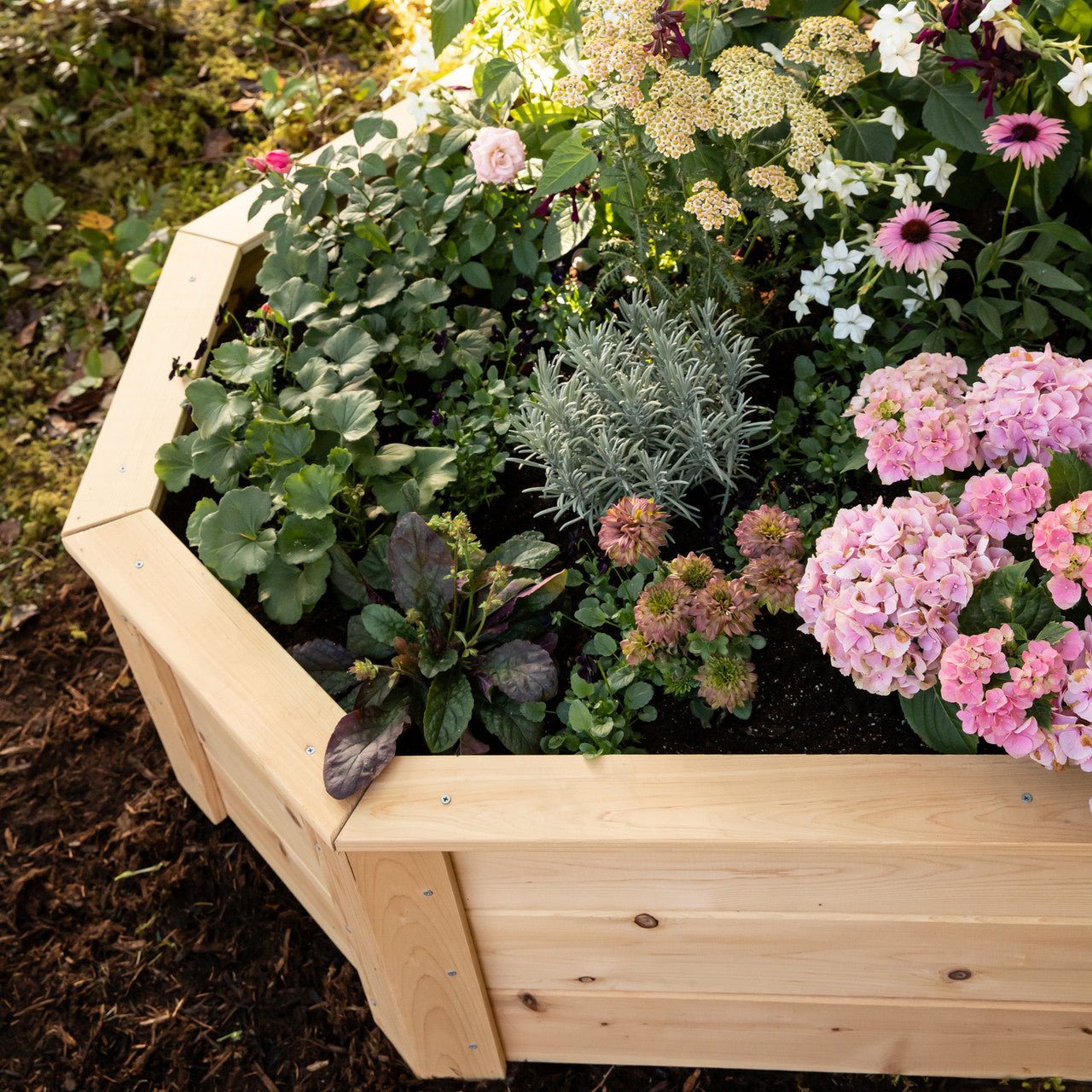 Natural Cedar Octagon Raised Beds