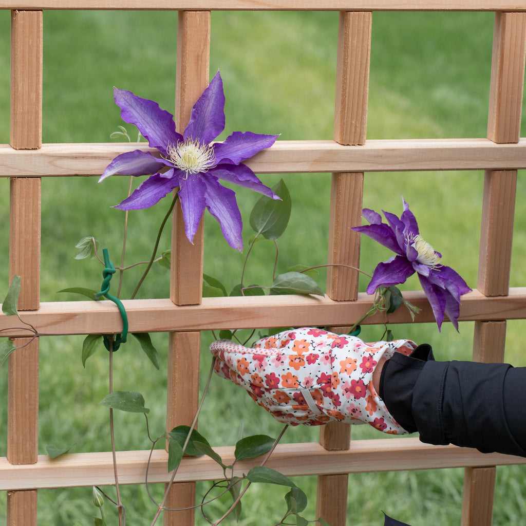 Natural Cedar Raised Beds with Trellis