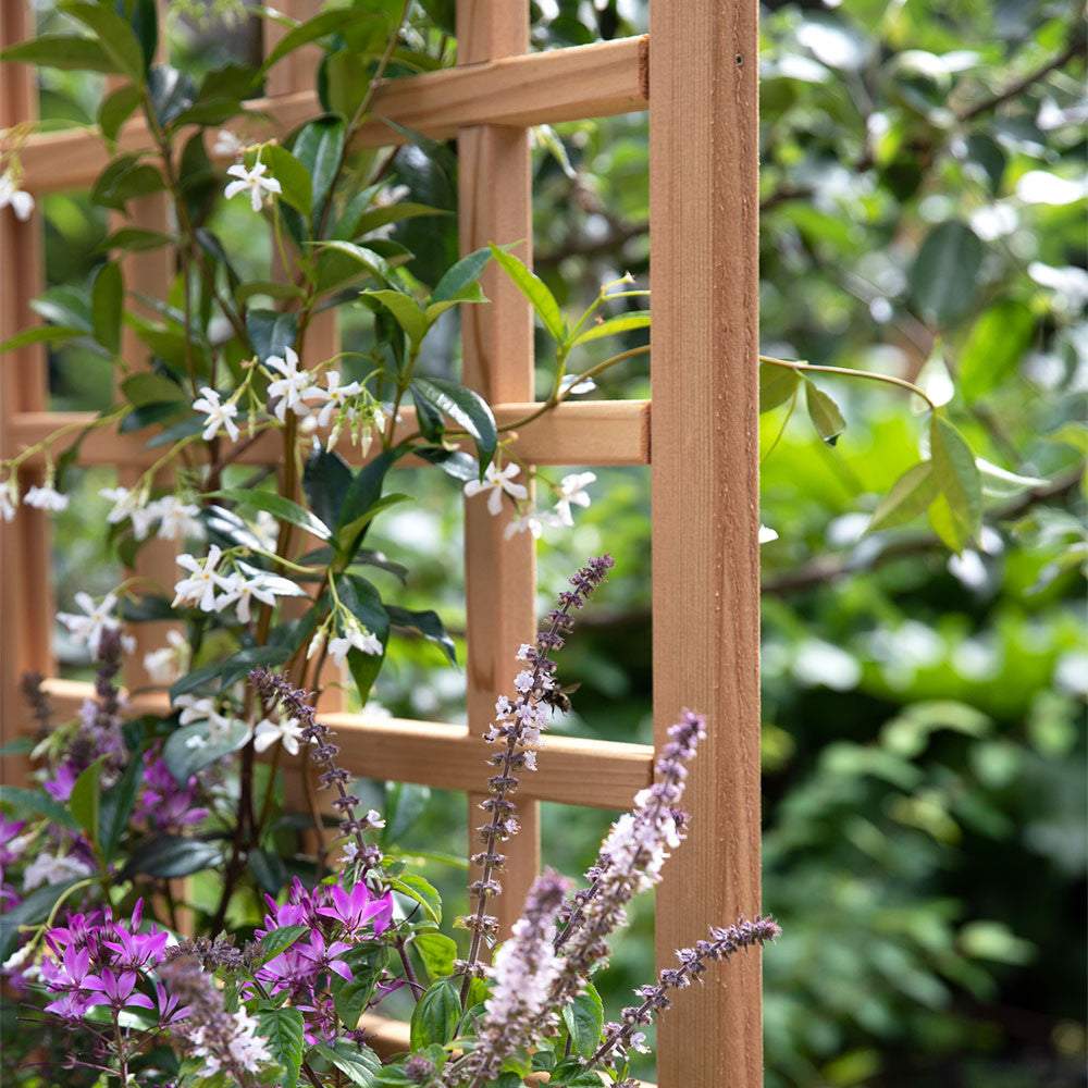 Natural Cedar Planter Box with L-Trellis