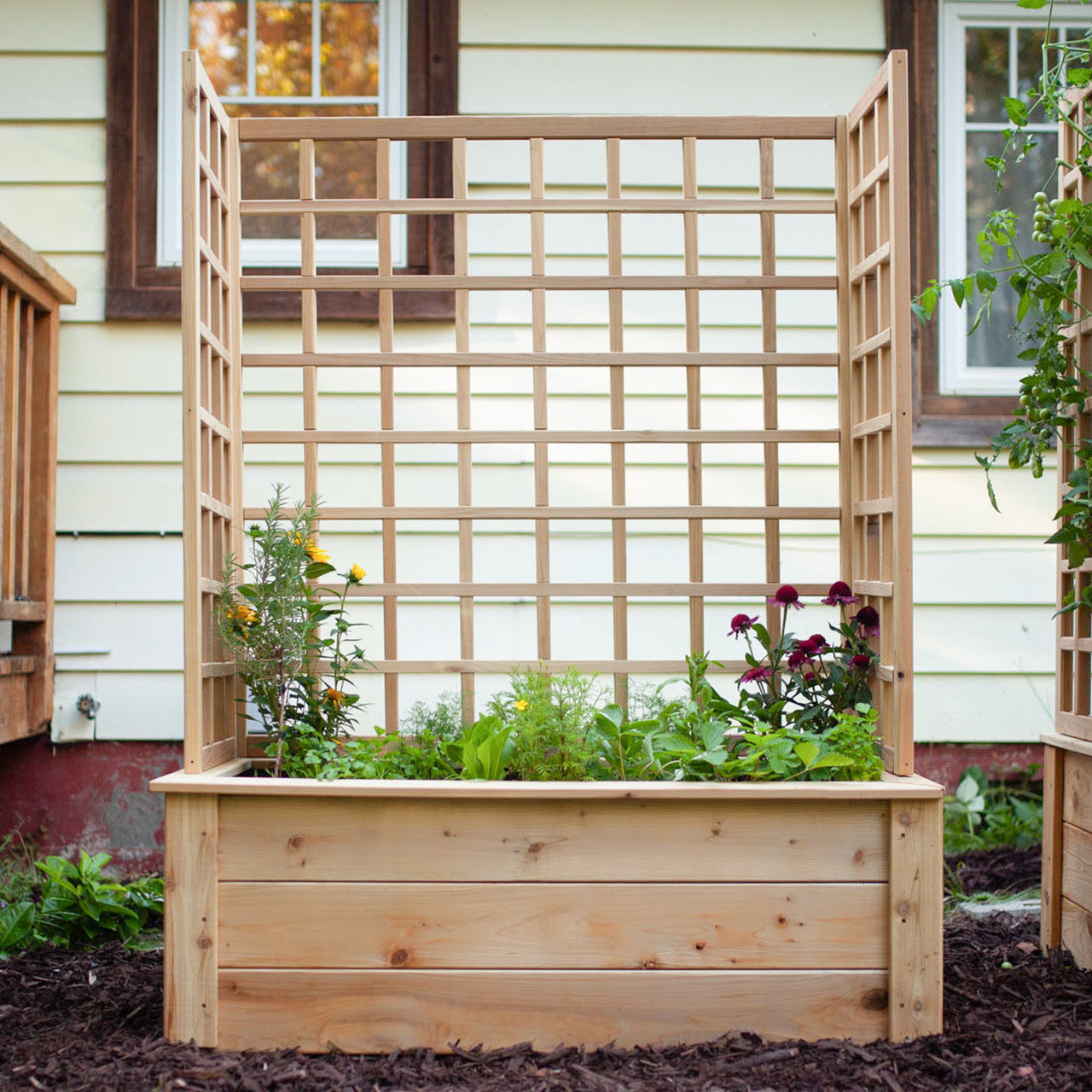 Natural Cedar Raised Beds with U-Shape Trellis